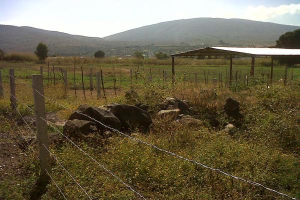Foto de terreno industrial en venta en camino al platanal , canindo, jacona, michoacán de ocampo, 501253 No. 09
