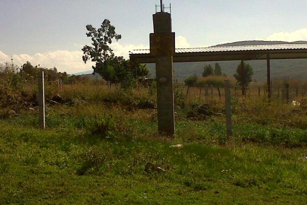 Foto de terreno industrial en venta en camino al platanal , canindo, jacona, michoacán de ocampo, 501253 No. 13