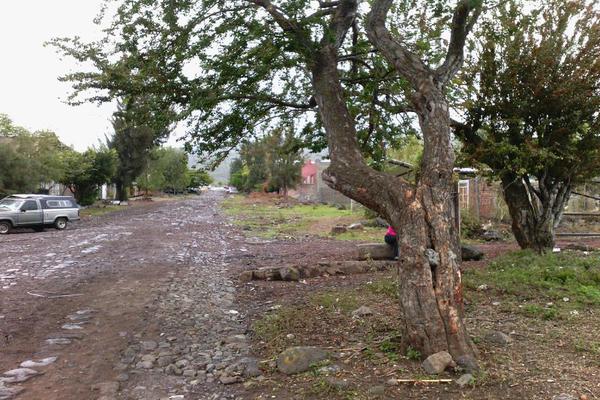 Foto de terreno industrial en venta en camino al platanal , canindo, jacona, michoacán de ocampo, 501253 No. 15