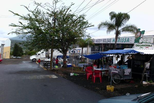 Foto de terreno industrial en venta en camino al platanal , canindo, jacona, michoacán de ocampo, 501253 No. 16