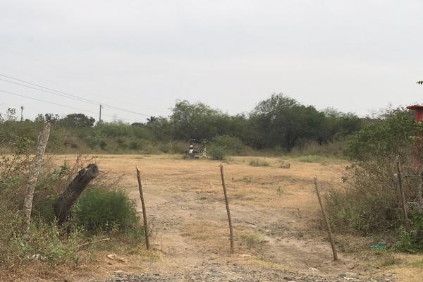 Foto de terreno comercial en venta en camino vecinal ctv2074e , villas de altamira, altamira, tamaulipas, 3340623 No. 02