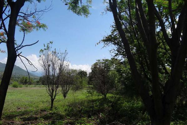 Foto de terreno habitacional en venta en campo san pablo , diego ruiz, yautepec, morelos, 6905362 No. 05