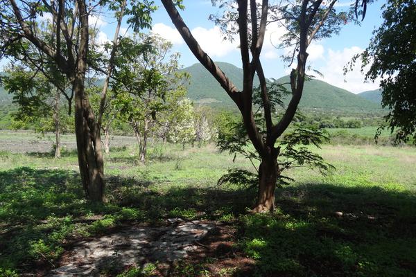 Foto de terreno habitacional en venta en campo san pablo , diego ruiz, yautepec, morelos, 6905362 No. 08