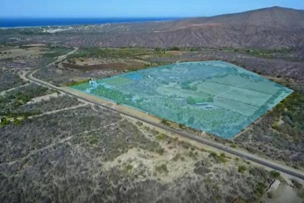 Foto de inmueble en carretera a la Ribera B.C.S #KILOMETRO 8, Col. La Ribera C.P. 23570, Los Cabos