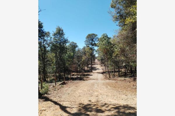 Foto de inmueble en Carretera a Peña María, Fracc. Bosques del Sur #0, Col. María Auxiliadora C.P. 29290, San Cristóbal de las Casas