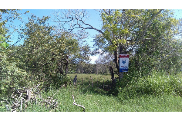 Foto de terreno habitacional en venta en carretera federal tampico- tuxpan , bustos pemex, tampico alto, veracruz de ignacio de la llave, 2421079 No. 04