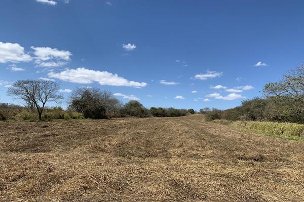 Foto de inmueble en Carretera Las Delicias - Guadalupe Victoria #KILOMETRO 5, Col. Guadalupe Victoria C.P. 29147, Ocozocoautla de Espinosa