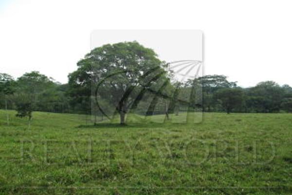 Foto de terreno habitacional en venta en carretera palenque ruinas , la esperanza, palenque, chiapas, 791965 no 04