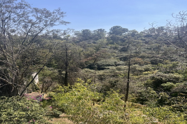 Foto de inmueble en Cumbres de Acutzingo, Col. Lomas de Chapultepec VII Sección C.P. 11000, Miguel Hidalgo
