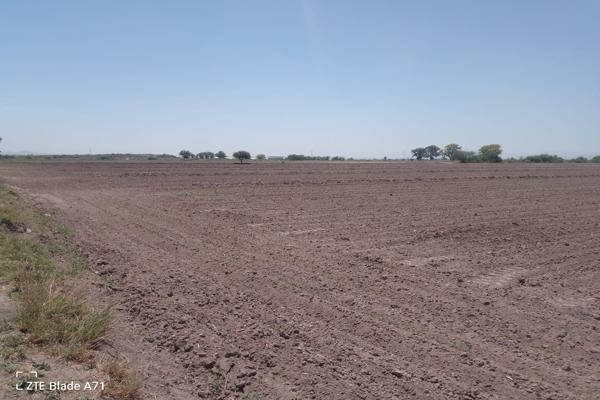 Foto de inmueble en - #-Int. -, Col. San Felipe C.P. 35119, Gómez Palacio