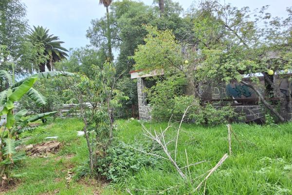 Foto de inmueble en Avenida 5 de Mayo #1007, Col. San Felipe C.P. 16770, Xochimilco