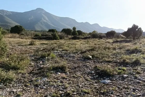 Foto de inmueble en Ejido Boca Negra, Col. Nueva Imagen C.P. 25019, Saltillo