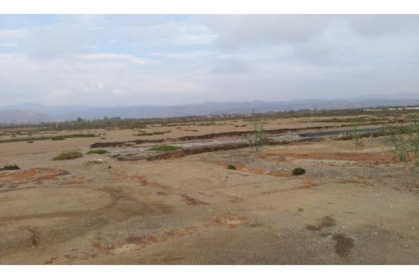 Foto de terreno comercial en venta en ejido nacionalista de sánchez taboada , maneadero, ensenada, baja california, 2124361 No. 10