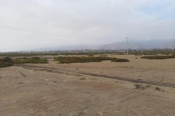 Foto de terreno comercial en venta en ejido nacionalista de sánchez taboada , maneadero, ensenada, baja california, 2124361 No. 06