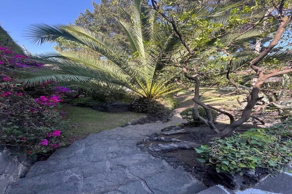 Foto de inmueble en Farallón, Col. Jardines del Pedregal C.P. 01900, Álvaro Obregón