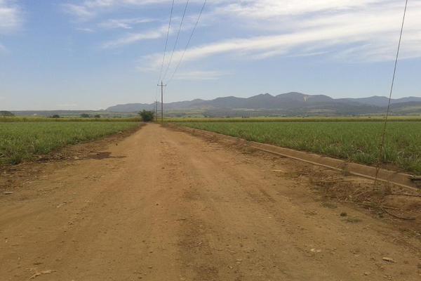 Foto de terreno industrial en venta en frente al dorado kilometro 1.6, san cayetano, tepic, nayarit, 3631769 No. 06