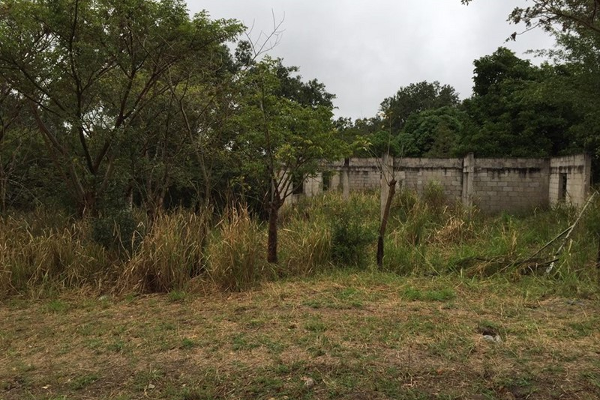 Foto de terreno habitacional en venta en guanajuato , lindavista, pueblo viejo, veracruz de ignacio de la llave, 2420645 No. 03