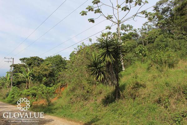 Foto de inmueble en  , Col. Hernández Ochoa C.P. 91583, Coatepec