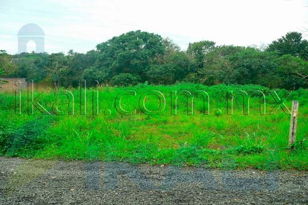 Foto de terreno habitacional en venta en  , infonavit las granjas de alto lucero, tuxpan, veracruz de ignacio de la llave, 895247 No. 04