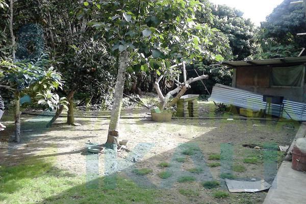 Foto de terreno habitacional en venta en  , isla de juana moza, tuxpan, veracruz de ignacio de la llave, 1658790 No. 05
