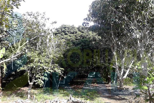 Foto de terreno habitacional en venta en  , isla de juana moza, tuxpan, veracruz de ignacio de la llave, 1658790 No. 07