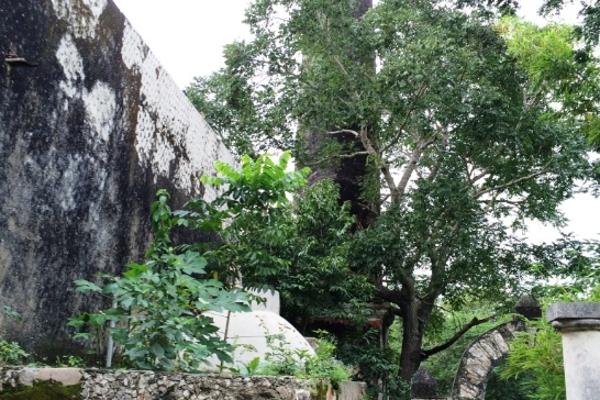 Rancho en Izamal, en Venta en $2.300.000 USD ID 2973220