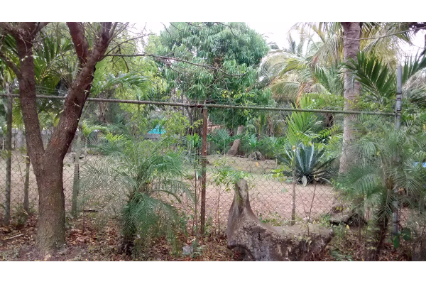Foto de terreno habitacional en venta en josefa ortiz de dominguez , francisco medrano, altamira, tamaulipas, 2647844 No. 05