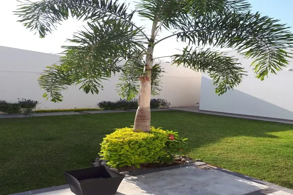 Departamento En Renta Disponible En Laguna Norte 693 Colonia Torreón