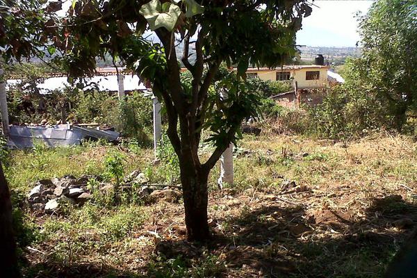 Foto de terreno habitacional en venta en lázaro cárdenas , canindo, jacona, michoacán de ocampo, 501849 No. 03