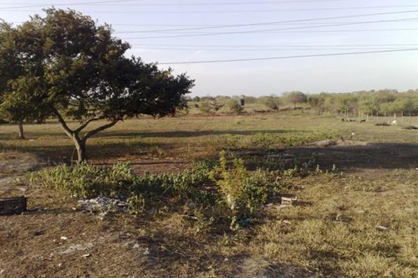 Foto de terreno habitacional en venta en agua dulce , villas de altamira, altamira, tamaulipas, 2651522 No. 02