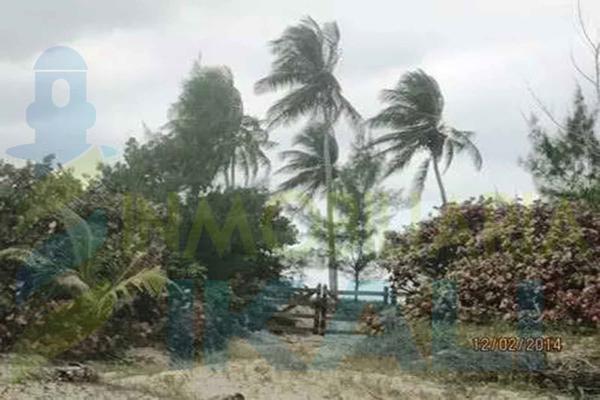 Foto de terreno habitacional en venta en  , palo blanco, tamiahua, veracruz de ignacio de la llave, 2367275 No. 05