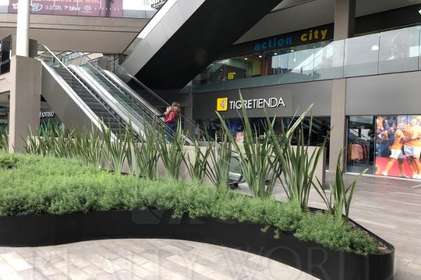 julio cepeda puerta de hierro