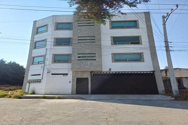 Foto de inmueble en , Col. San Luis Mextepec C.P. 51355, Zinacantepec