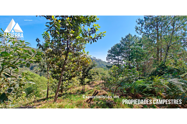 Foto de inmueble en  , Col. San Miguel Acuautla C.P. 73164, Huauchinango