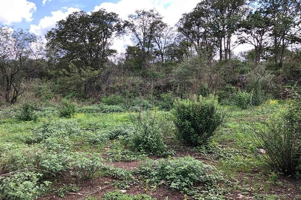 Foto de inmueble en  , Col. San Miguel (Santa Ana Tlacotenco) C.P. 12930, Milpa Alta
