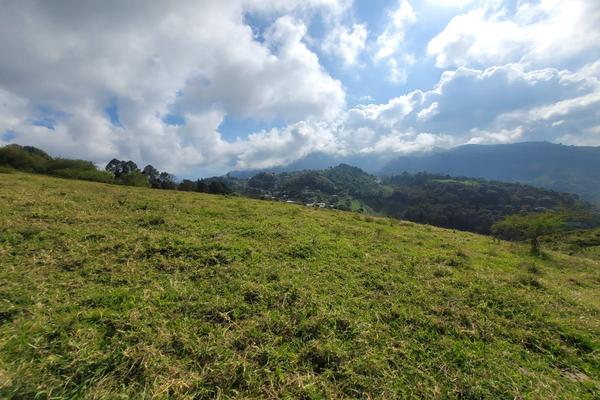 Santa Ana Ahuehuepan Venta terreno en Santa Ana Ahuehuepan, Colonia Santa Ana Ahuehuepan, C ...