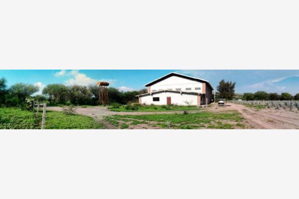 Foto de terreno comercial en venta en s/e s/e, romita centro, romita, guanajuato, 386206 No. 10