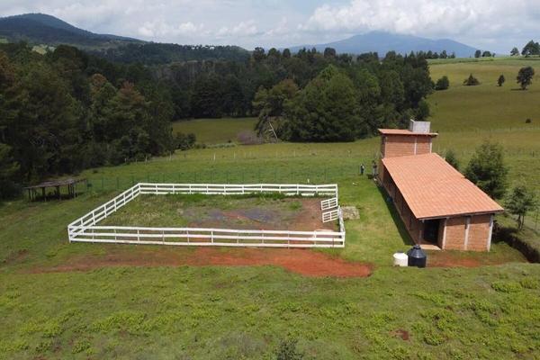 Foto de inmueble en Tenencia de Santiago Undameo, Col. Umécuaro C.P. 58355, Morelia