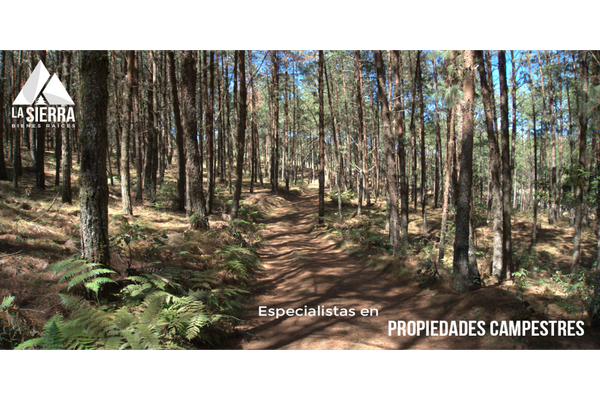 Foto de inmueble en  , Col. Teopancingo C.P. 73169, Huauchinango