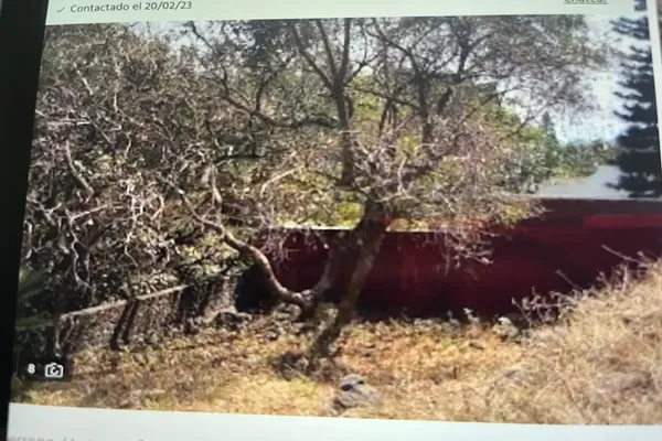 Foto de inmueble en tlaltenango #-, Col. Tlaltenango C.P. 62170, Cuernavaca