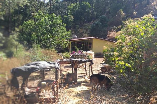 Foto de inmueble en TZITZIO MICHOACAN POR LOS TIMONES, Col. Tzitzio C.P. 61330, Tzitzio