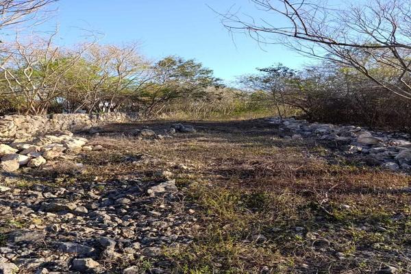 Foto de inmueble en  , Col. Ucu C.P. 97357, Ucú