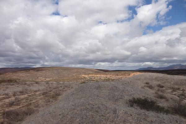 Foto de terreno comercial en venta en valle de guadalupe , francisco zarco, ensenada, baja california, 2645599 No. 06