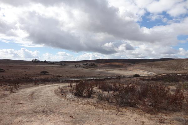 Foto de terreno comercial en venta en valle de guadalupe , francisco zarco, ensenada, baja california, 2645599 No. 09