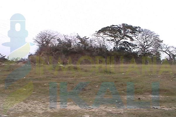 Foto de terreno habitacional en venta en  , villa rosita, tuxpan, veracruz de ignacio de la llave, 1531407 No. 01