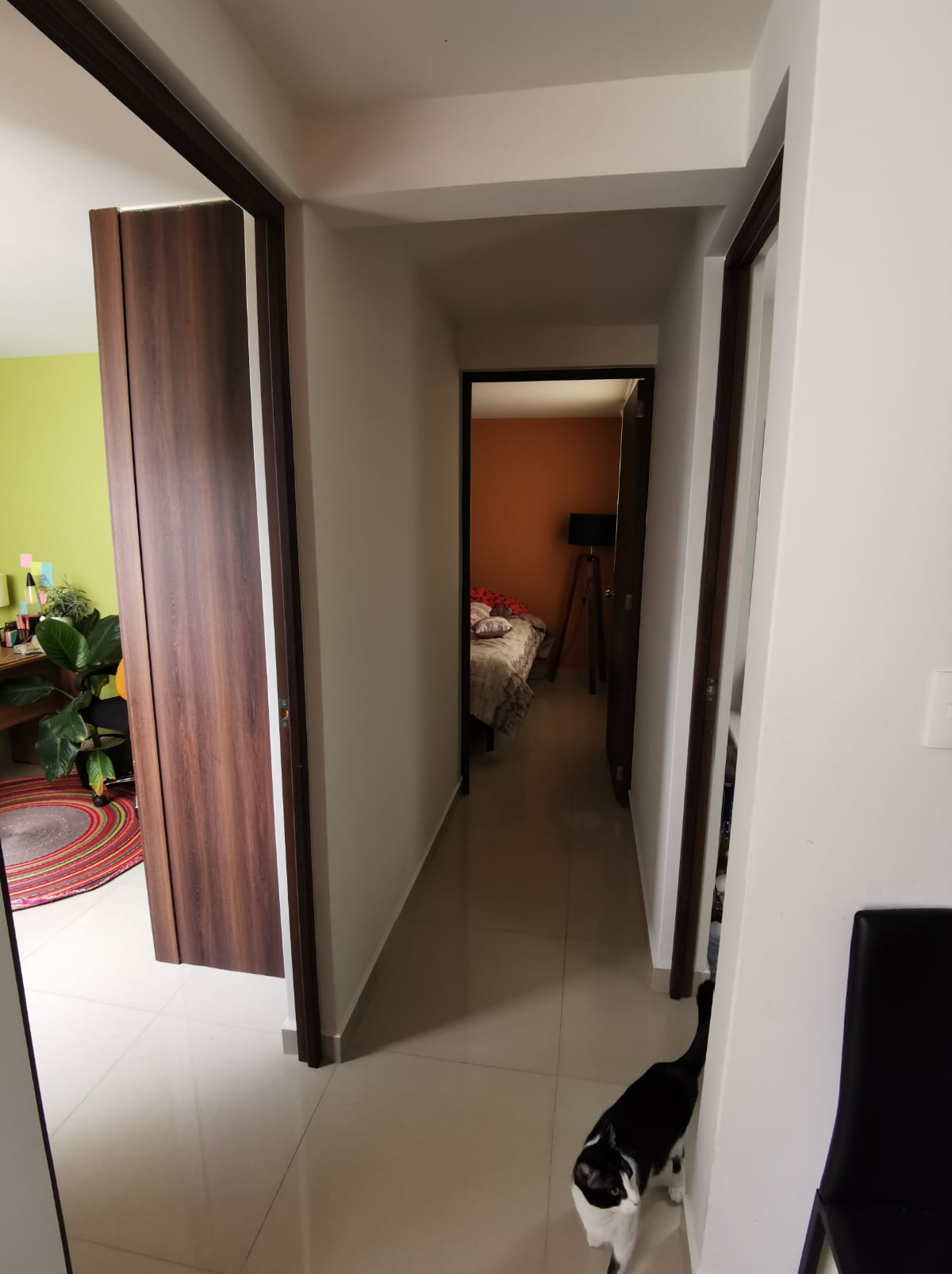 Foto de departamento en renta