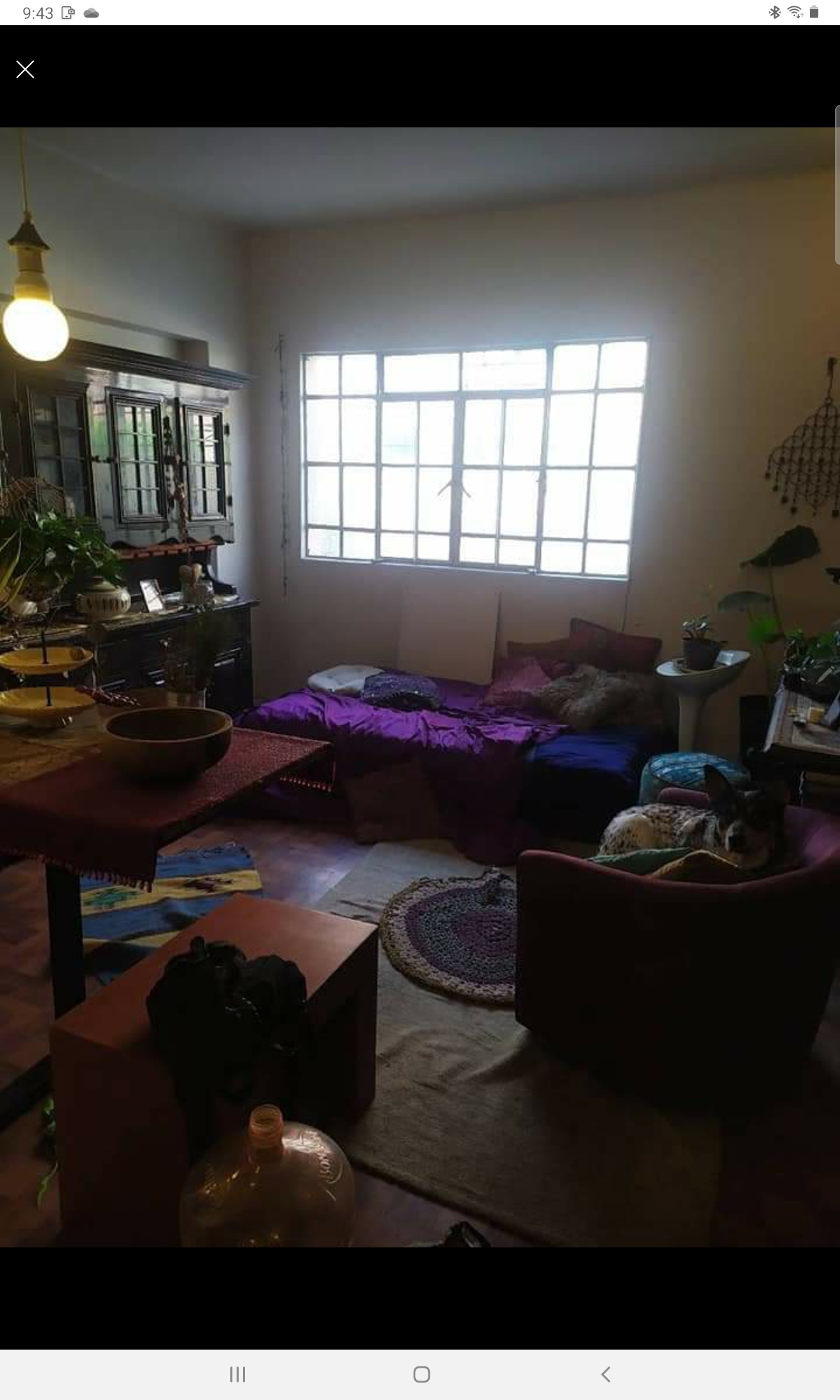 Foto de departamento en renta