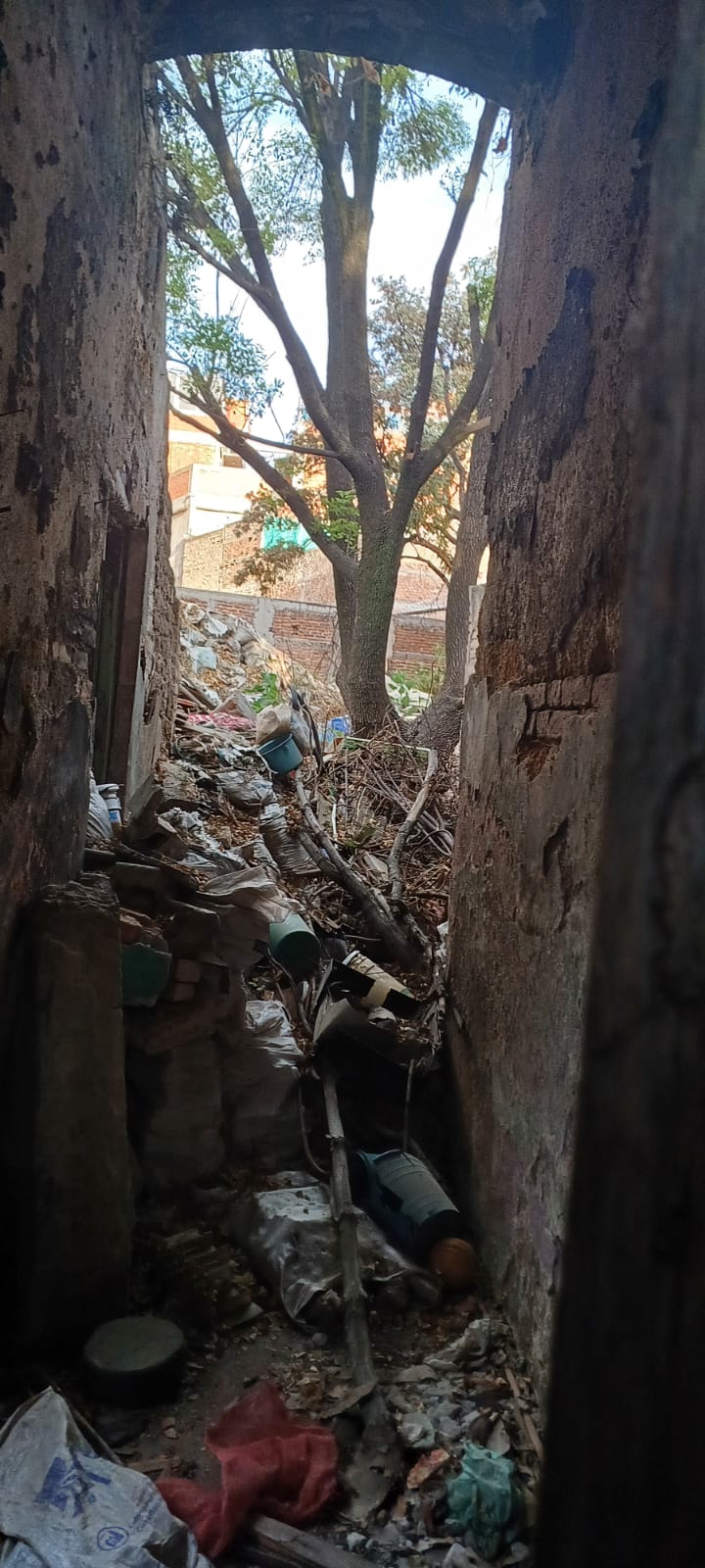 Foto de departamento en renta