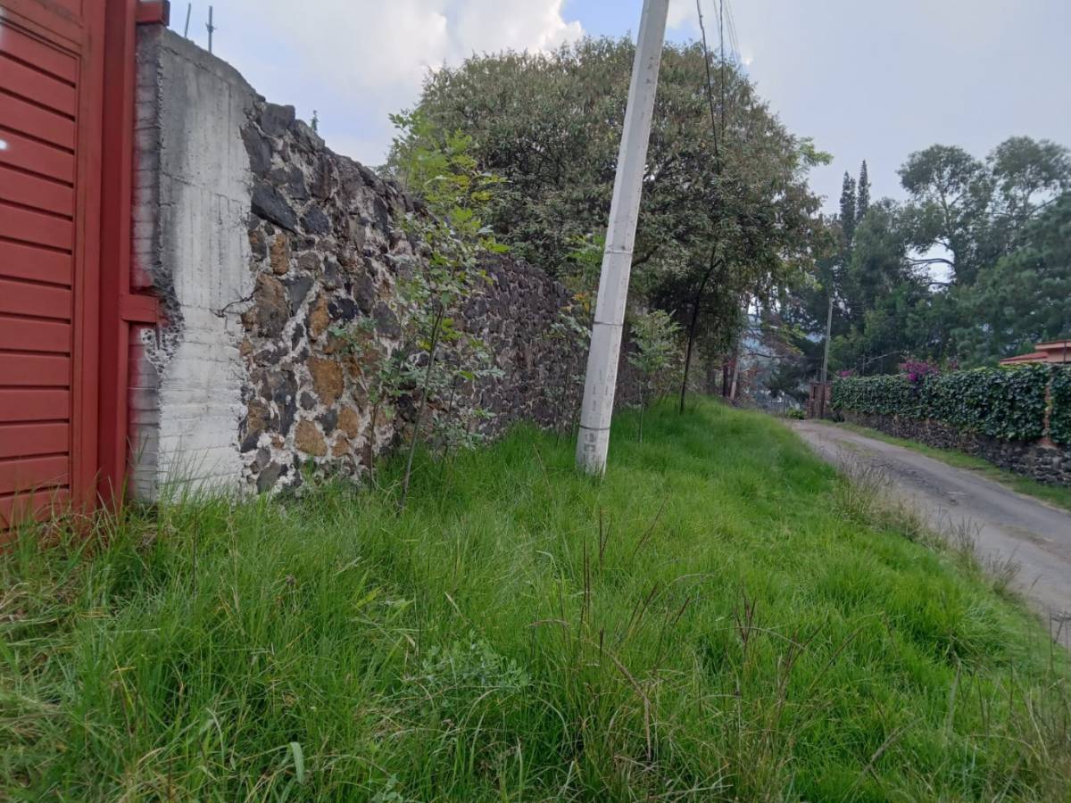 Foto de departamento en renta
