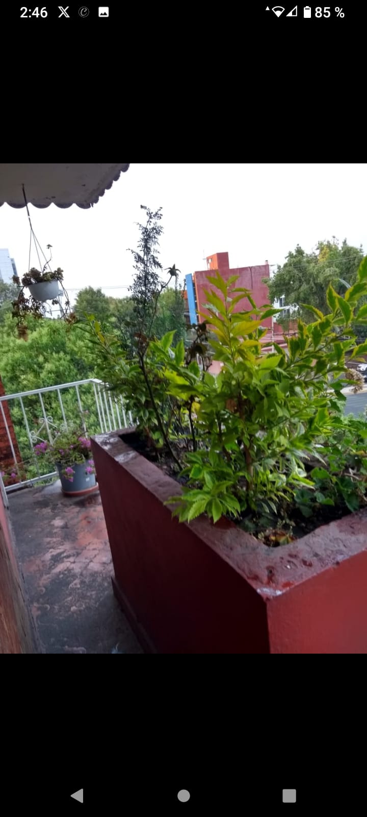 Foto de departamento en renta
